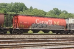 CP 607932